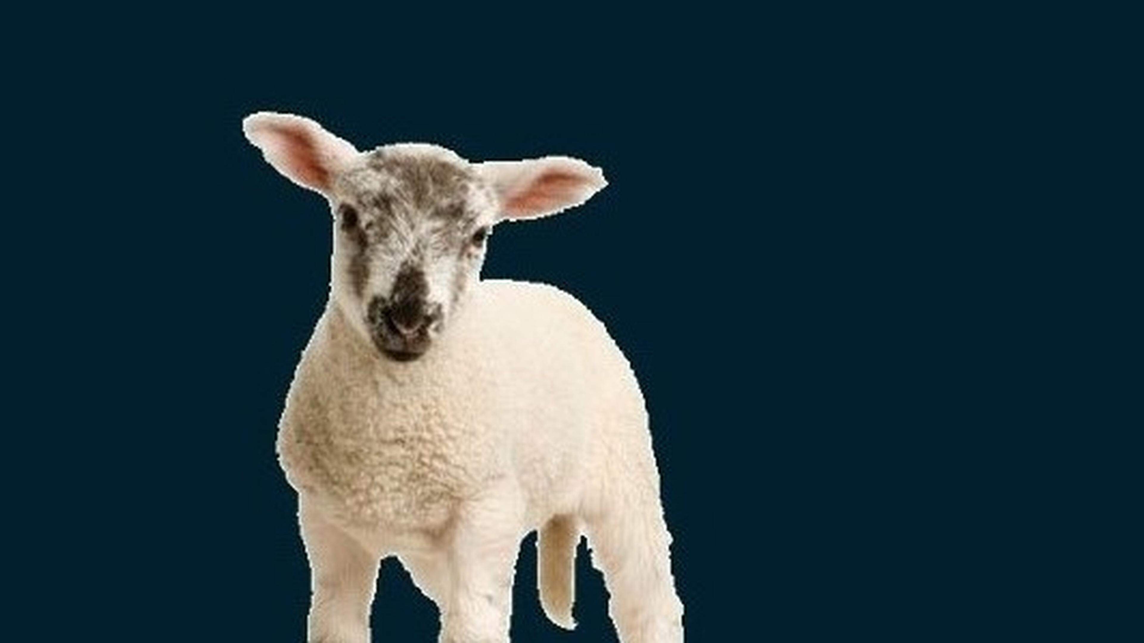 Kunstenaars in Velsen varen met ingang van 2025 een andere koers. ‘Focus op de eigen kunstroute’