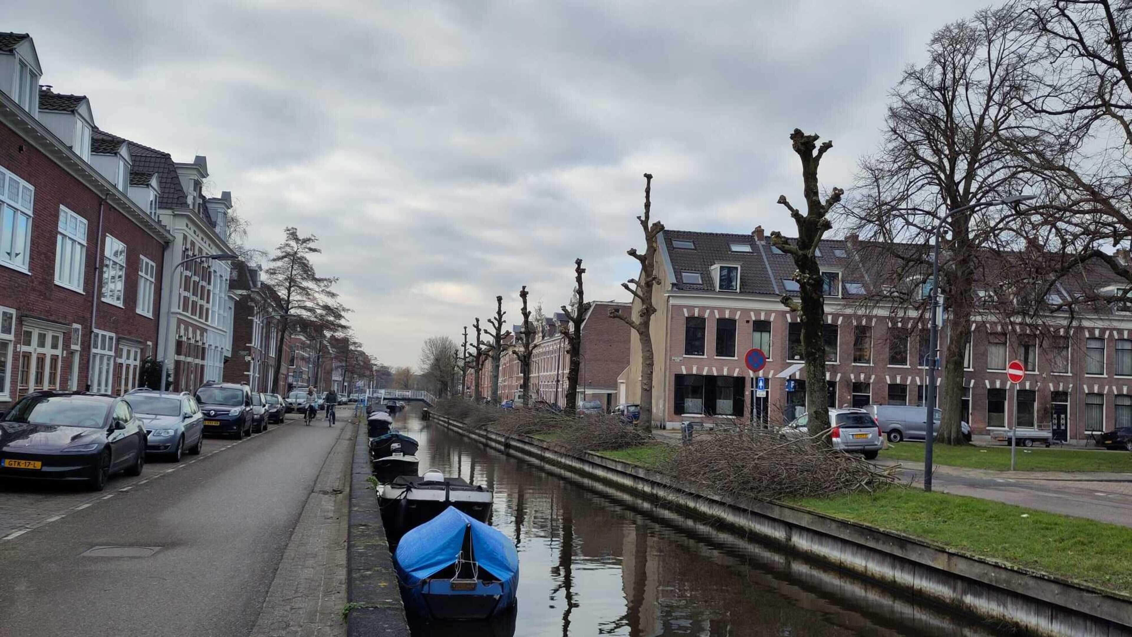 Wethouder Berkhout opnieuw op het matje geroepen vanwege te rigoureus gesnoeide bomen. ’Dieren als e