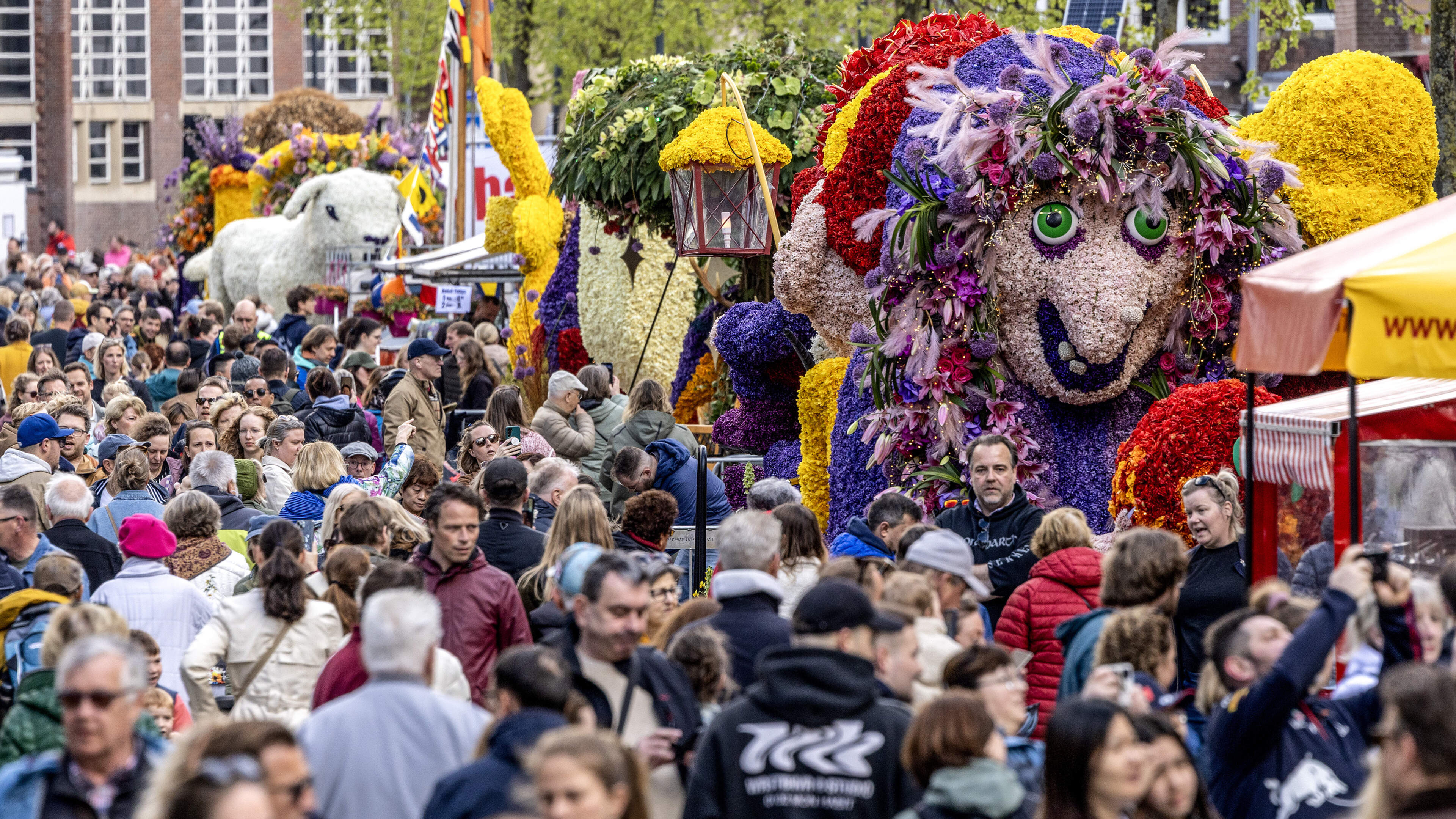 Stationary flower parade packs Haarlem city center