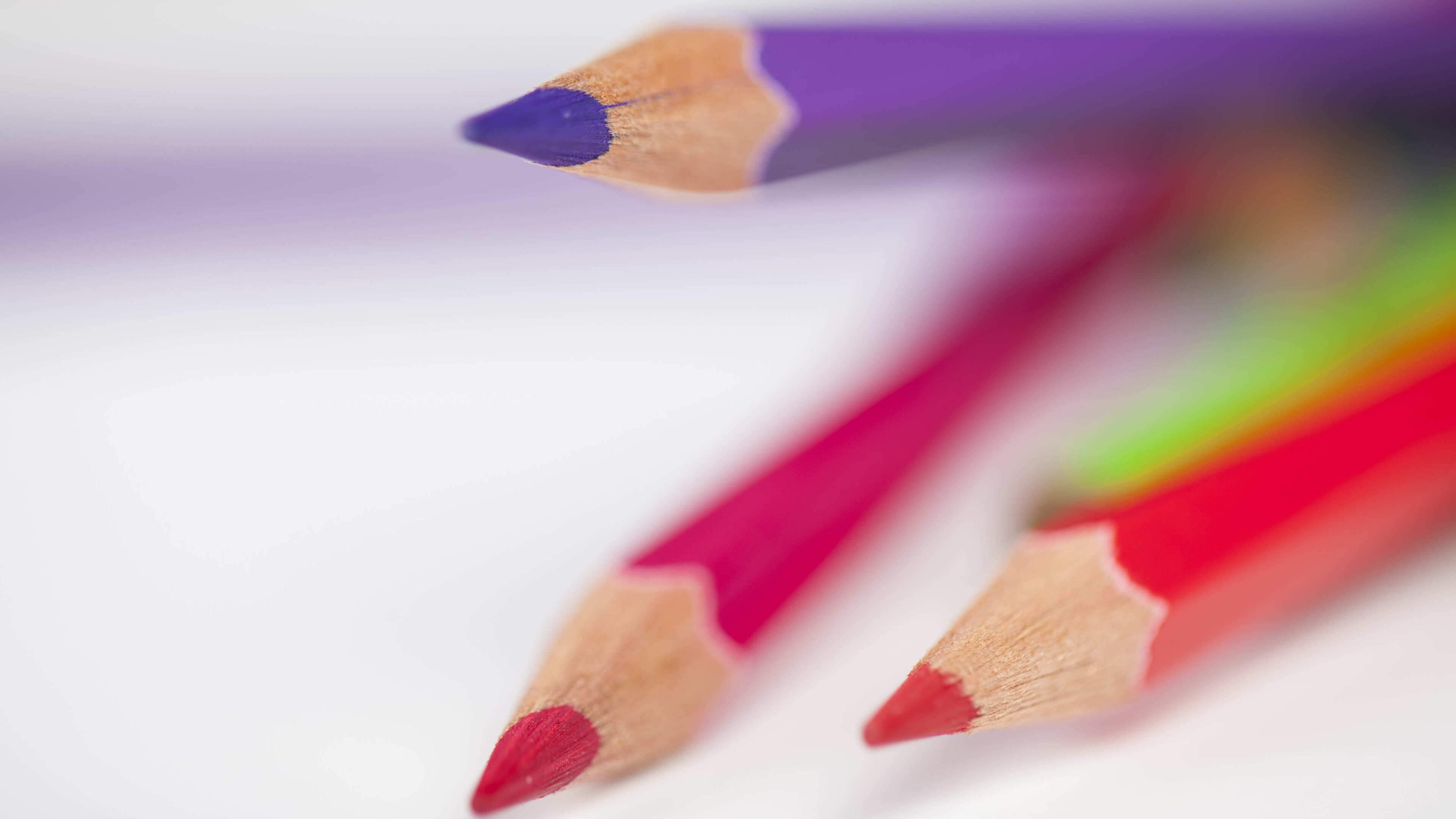 Mice, Amersfoort ballots and purple pencils. Strange situations at polling stations in the Haarlem region