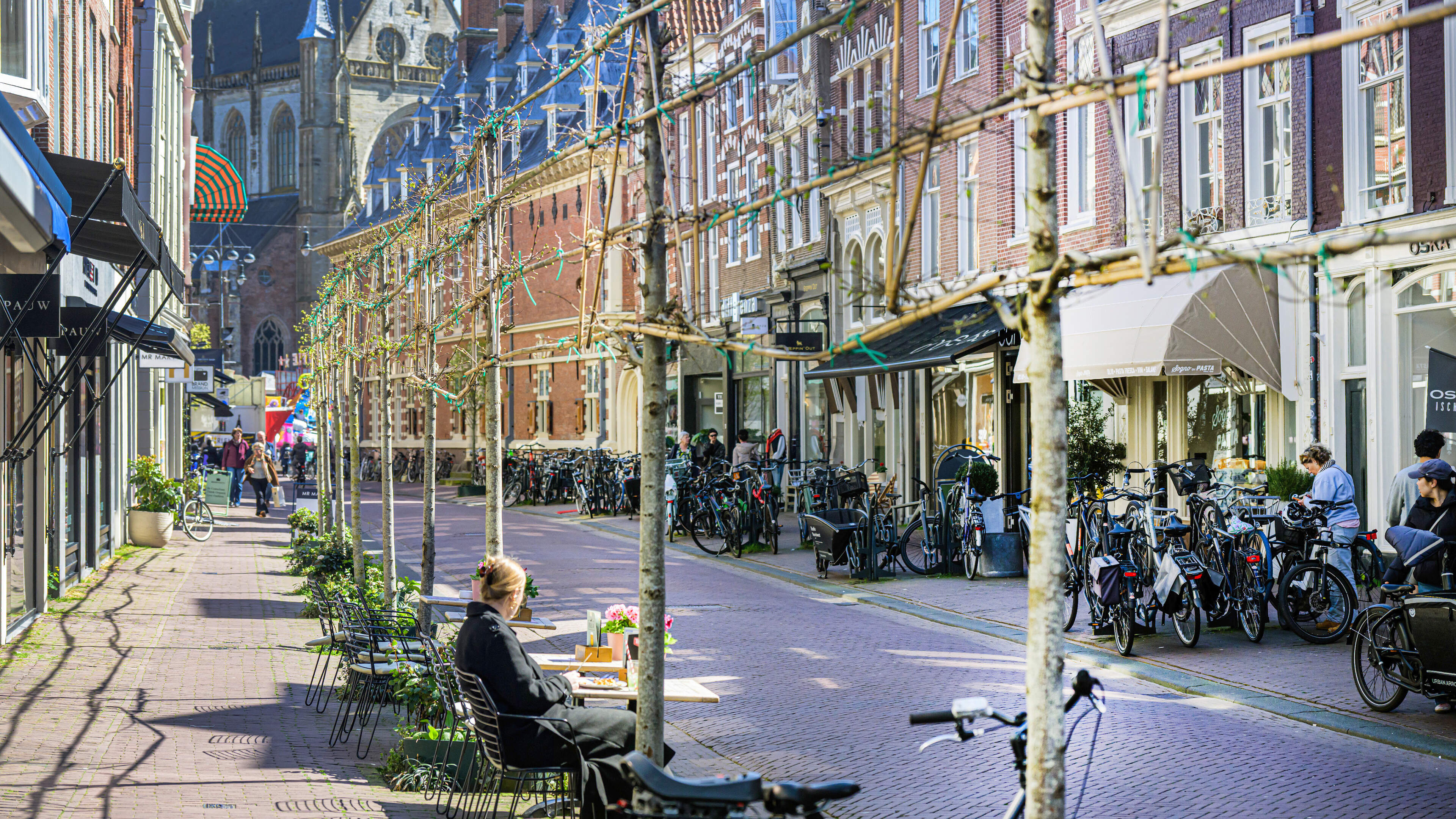 Trees to be removed from Zijlstraat due to falling shop values: 'This really affects me'