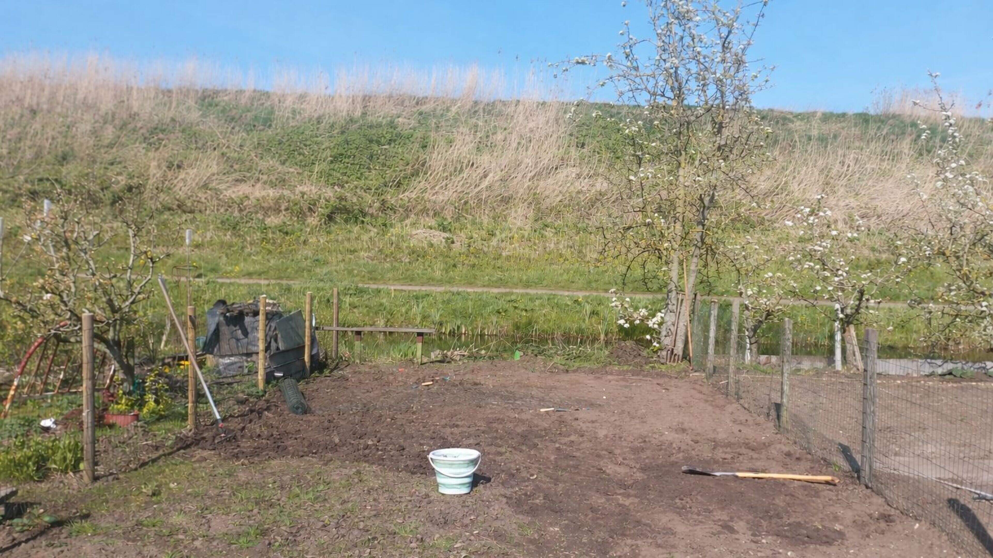 Help! I suddenly have to look after a real vegetable garden