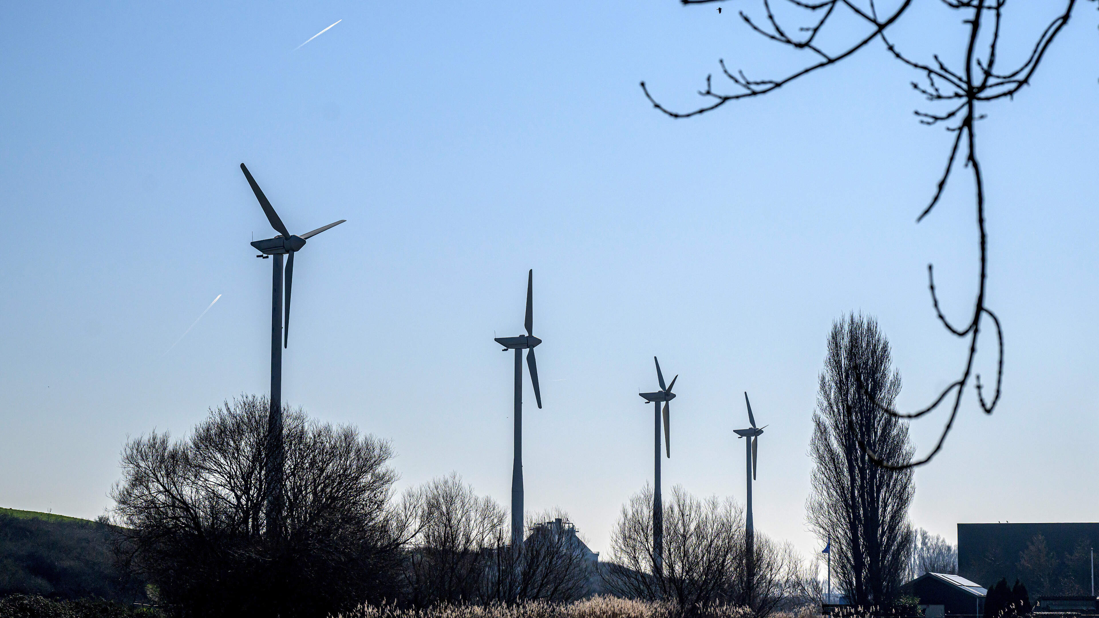 Noise pollution or not, Haarlem municipality washes its hands of Schoteroog wind turbines: ‘Province is the competent authority’