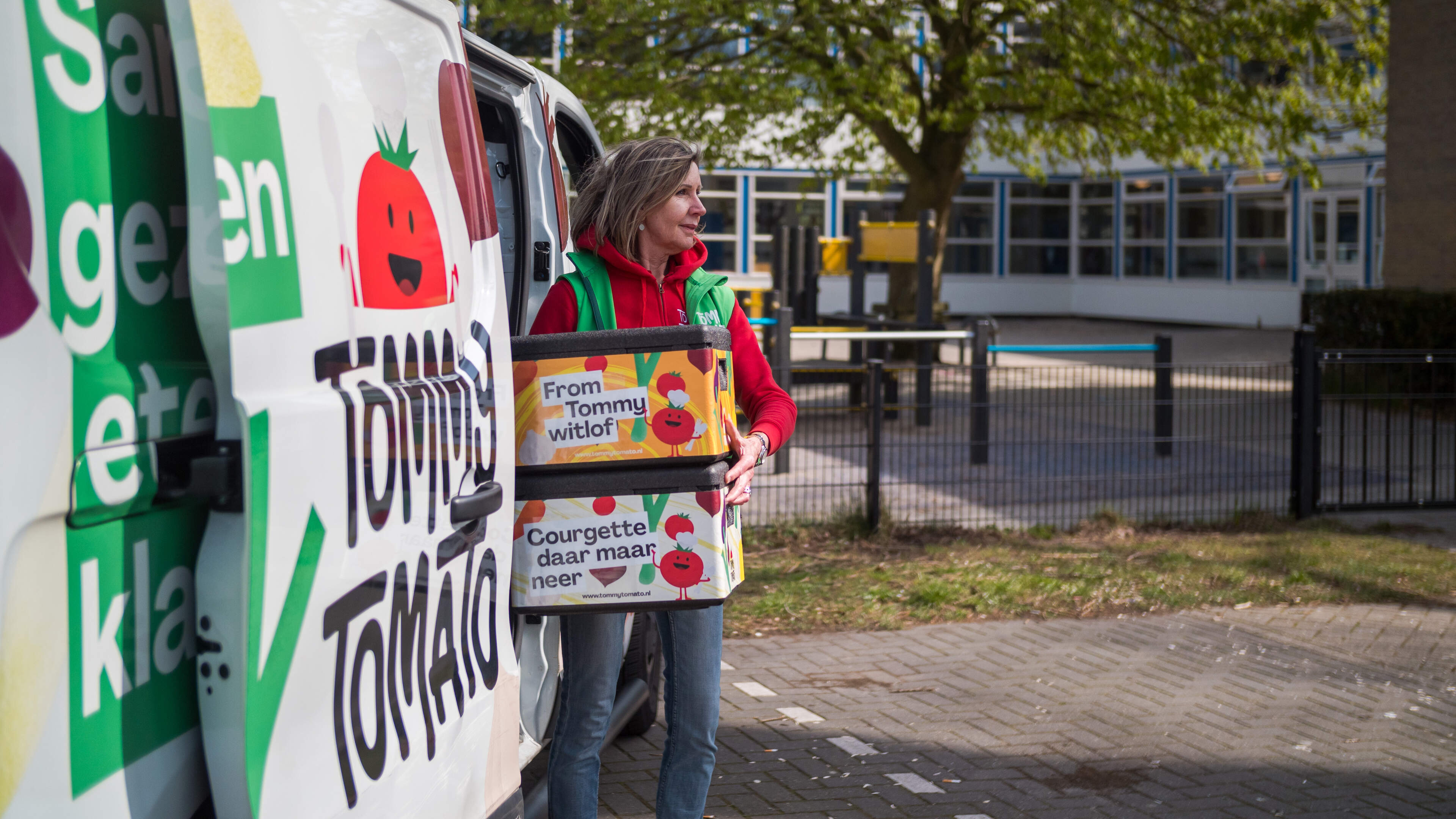 No Haarlem funding for TommyTomato for now