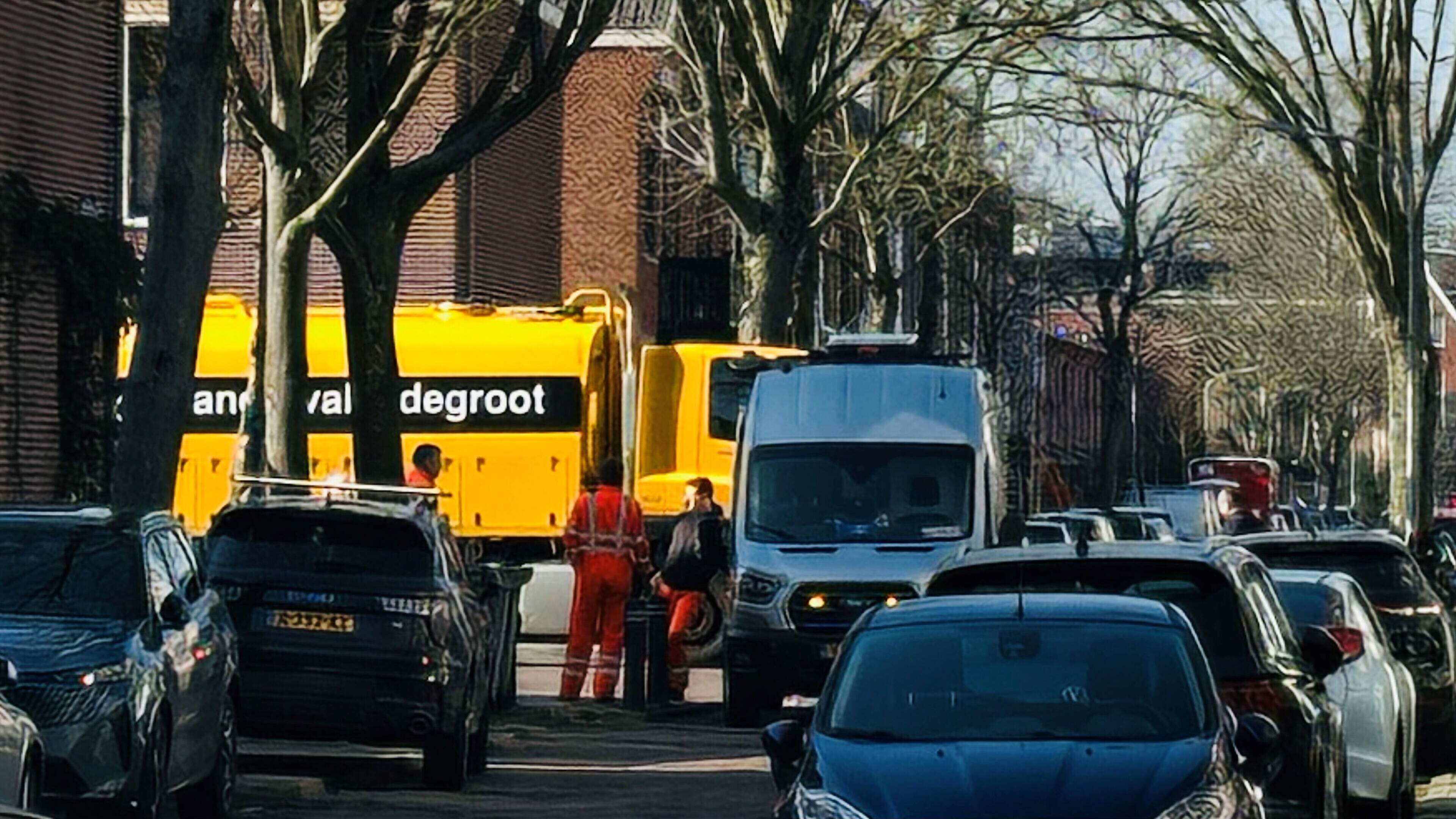 Haarlem completes investigation: Main sewer in Kleverpark neighborhood did not cause rat nuisance