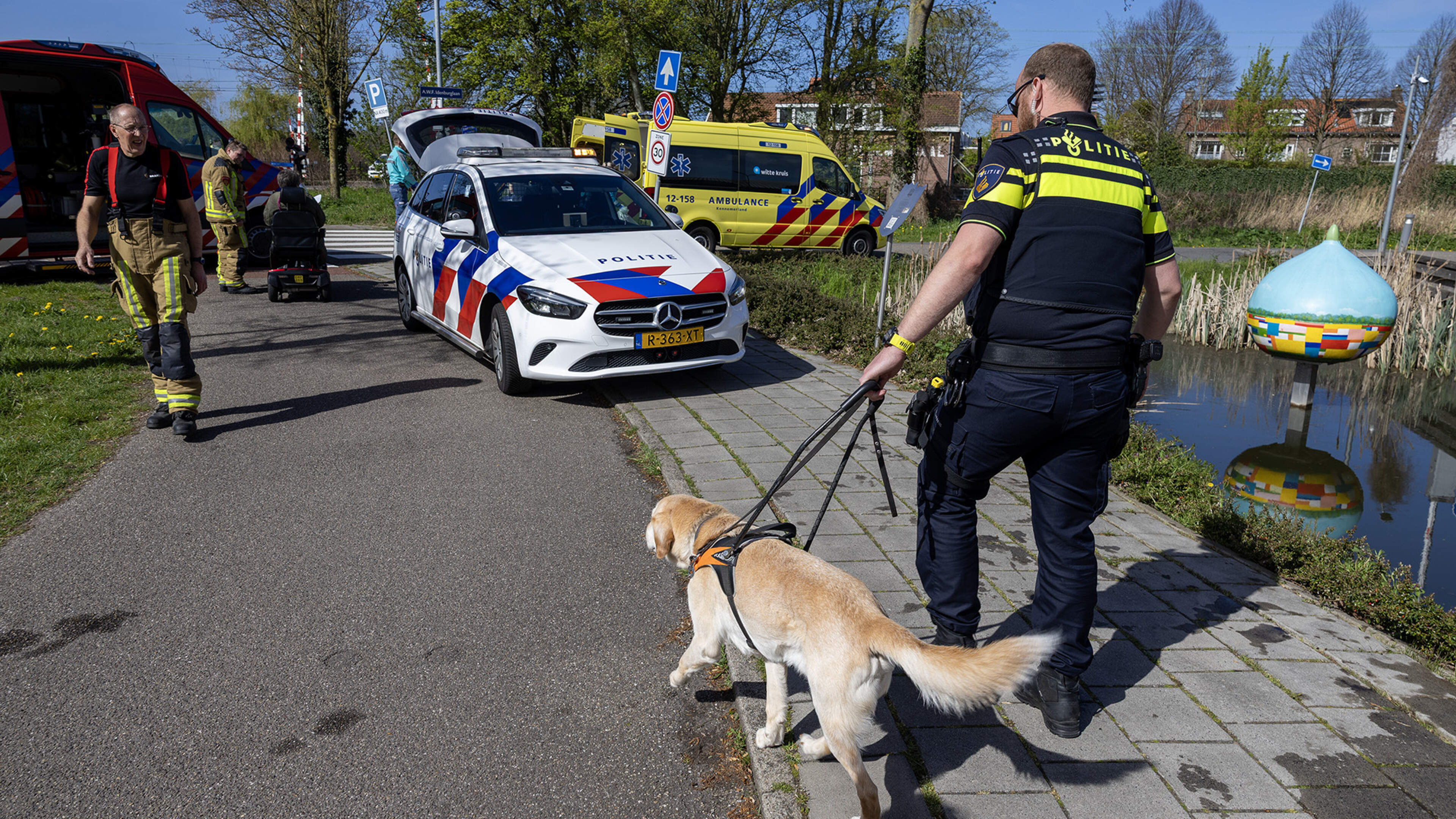 Man with assistance dog ends up in ditch in Haarlem