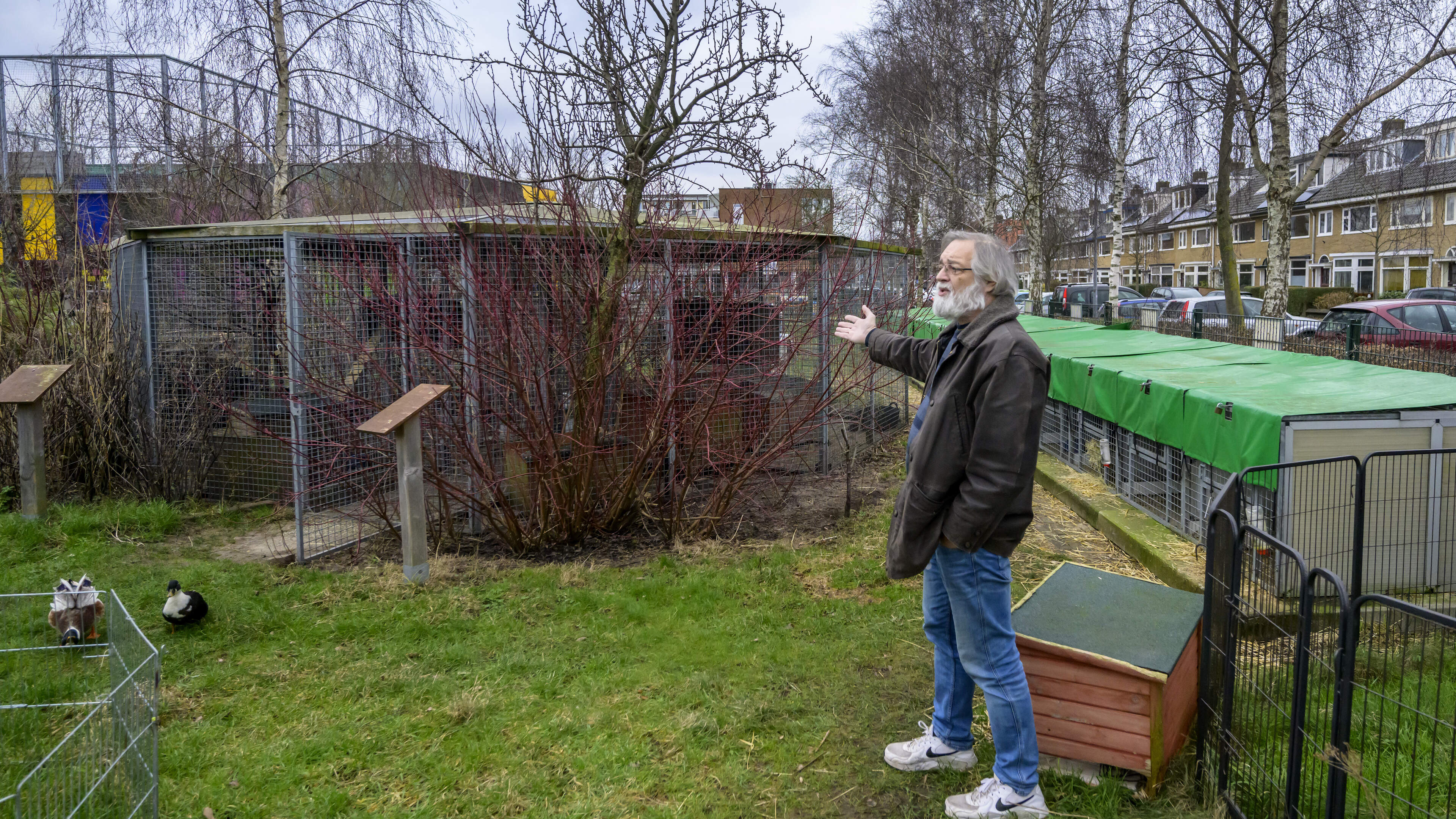 Doek valt definitief voor Haarlemse knaagdierenopvang Bedenk. Wethouder ziet ‘geen noodzaak’ voor re