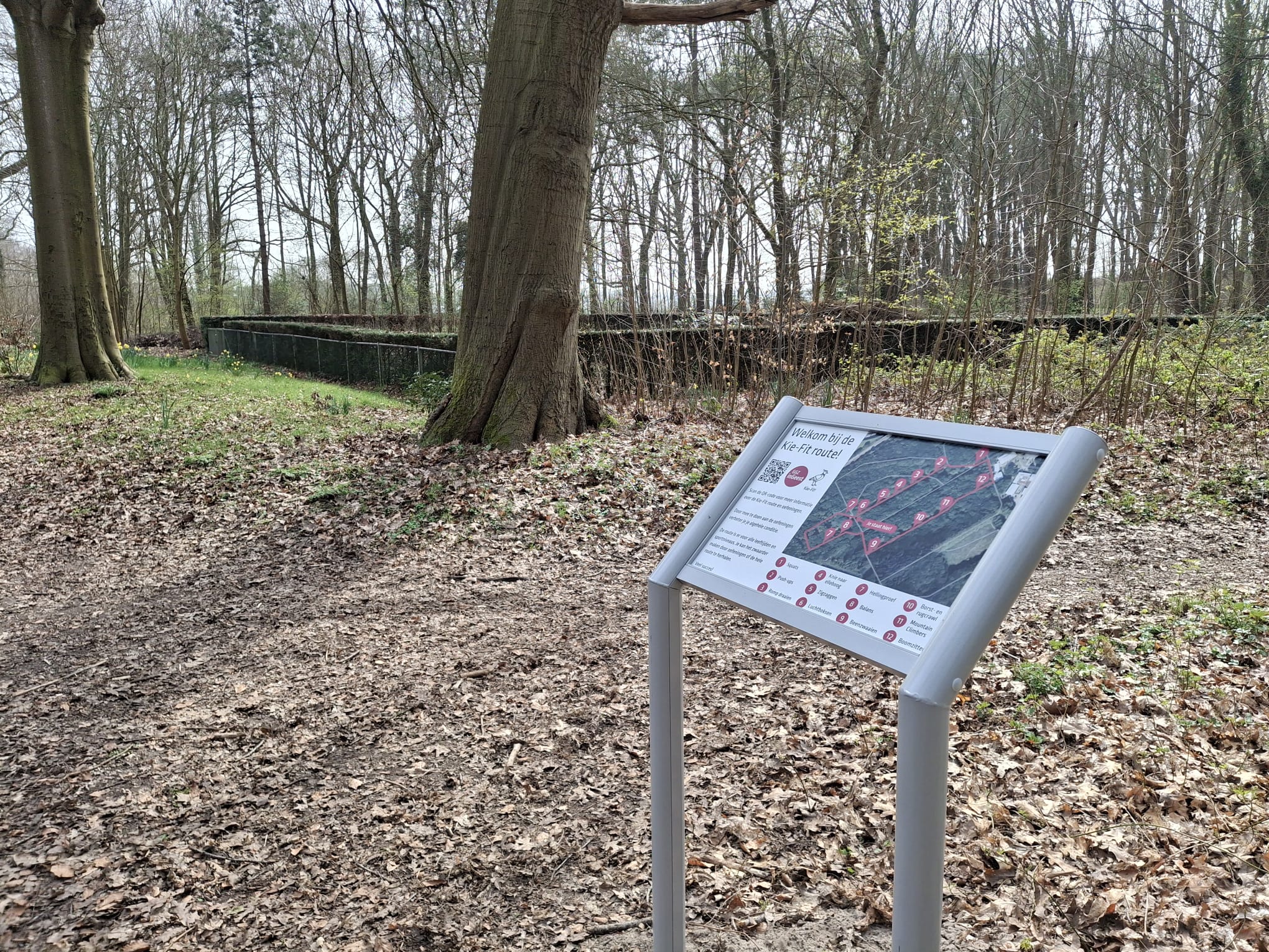 Exercise path in forest next to Bennebroek psychiatric clinic for patients and residents